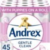 Andrex Gentle Clean Toilet Roll, 90-Rolls