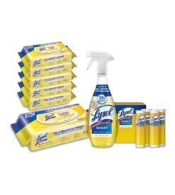 Lysol Disinfectant Multi-Surface Antibacterial Handi-Pack Cleaning Wipes. Lemon and Lime Blossom. 480 Count (Pack of 6) and Smart Multipurpose Disinfecting Spray Cleaner Kit. Citrus Breez. 5pc Set