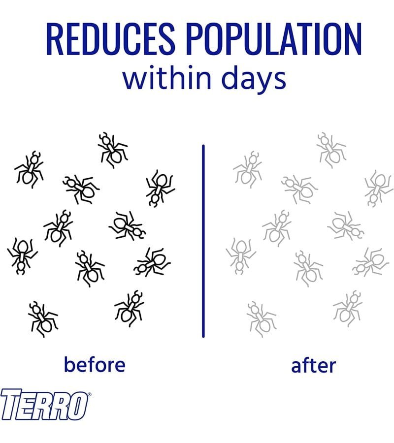 img-2b6f39ce84822d24986592306fcdd457