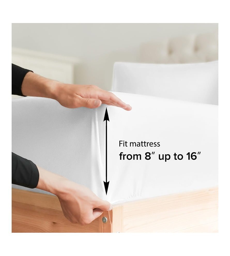 img-6210178a0b2baa956a2c80ce9f4e29f5