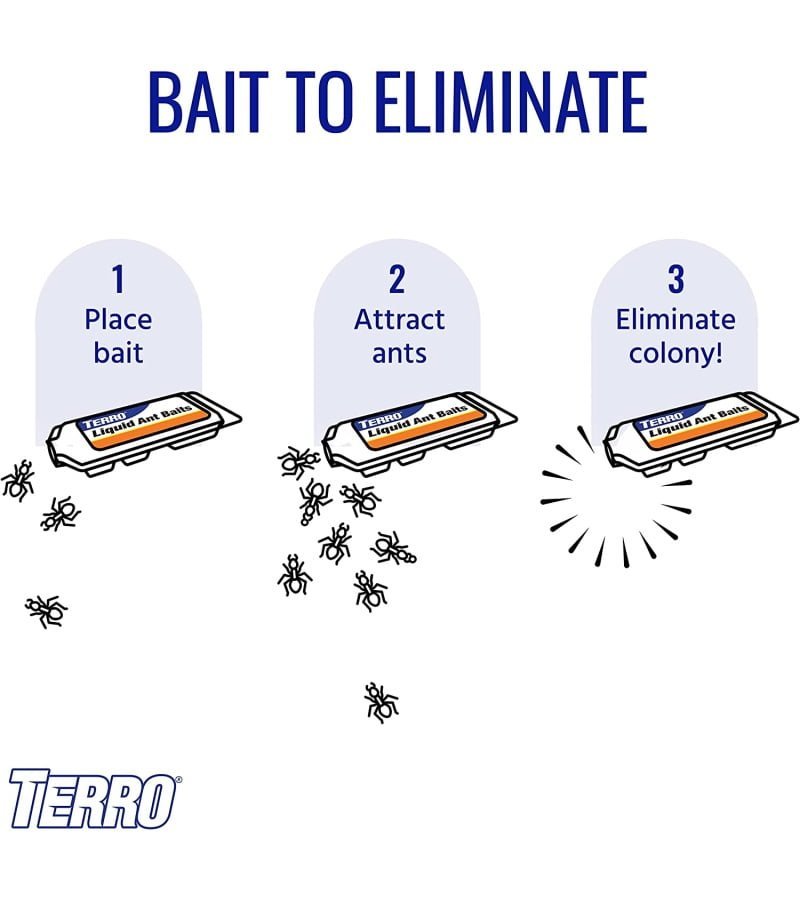 img-7b4d8e78ff864033e87cbea6d1d12ea2