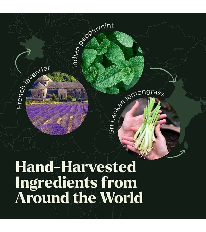 img-98fddc7b496419541bc153834ee4a251